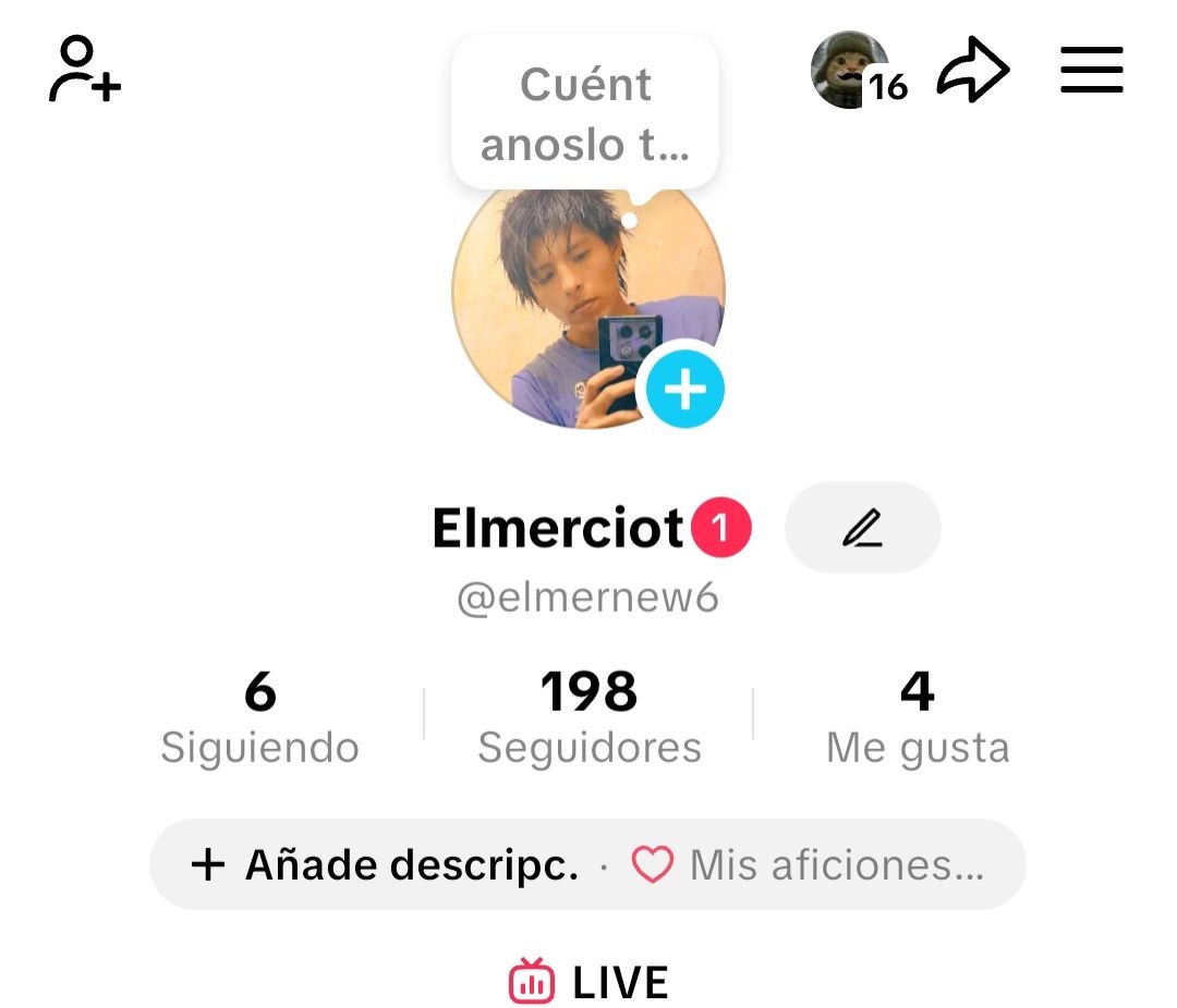 Paso 6 - Conecta tu TikTok